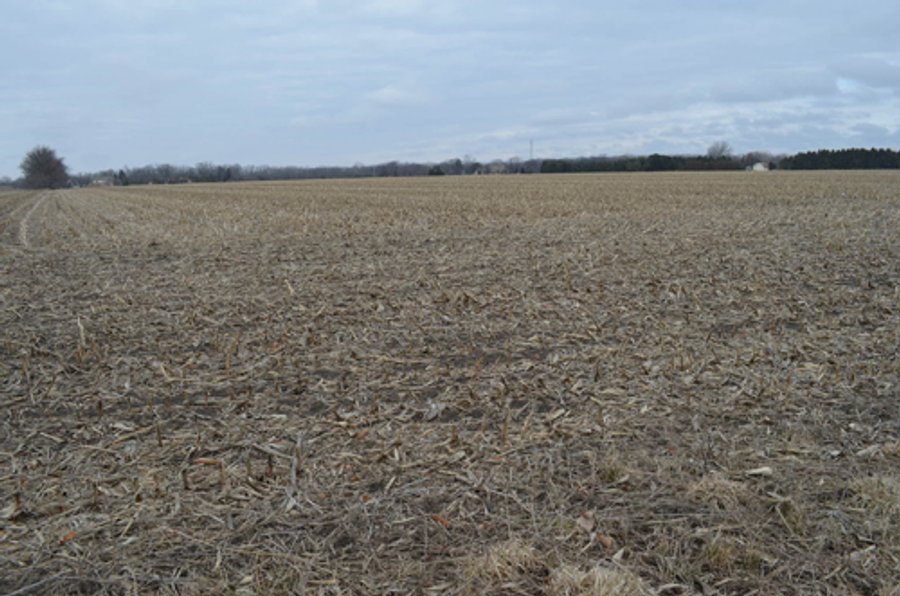 173 +/- Acres Offered in 3 Tracts - Ohio Farmland